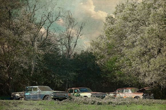 Three Abandoned Cars in Texas Meadow