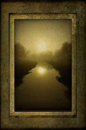 Follow the Light