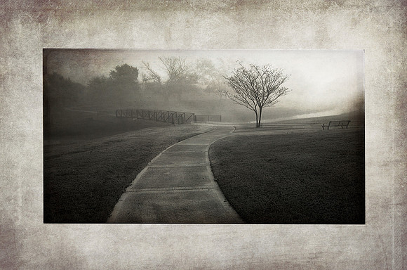 Follow the Path