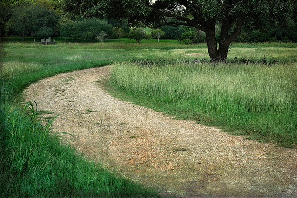 Texas Country Road