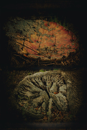 Decay