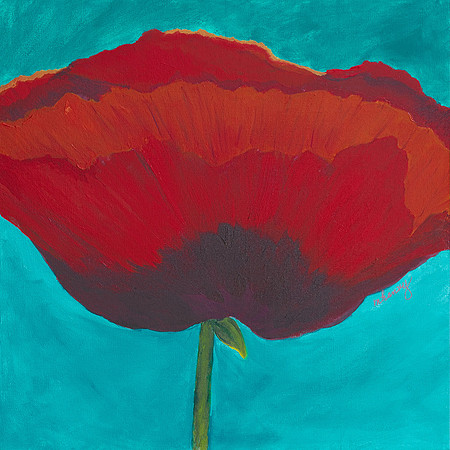 Red Poppy
